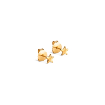 Star Energy øreringe i forgyldt sølv - Enamel E410G